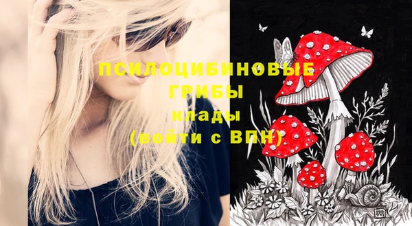 СК Новодвинск