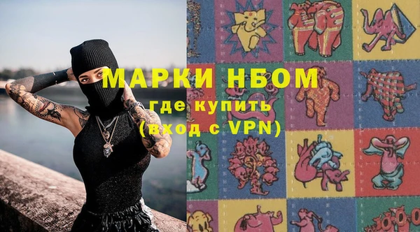 СК Новодвинск