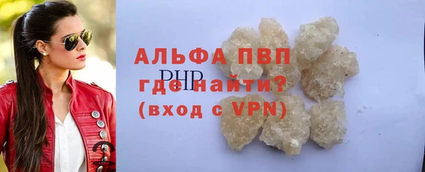 СК Новодвинск