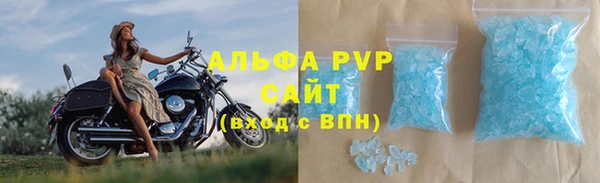 СК Новодвинск