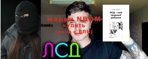 СК Новодвинск