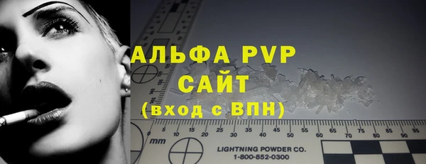 СК Новодвинск