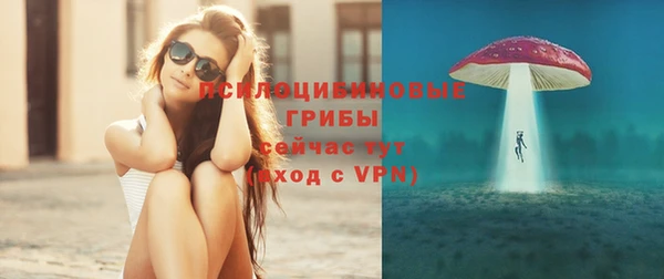 тгк Сосновый Бор