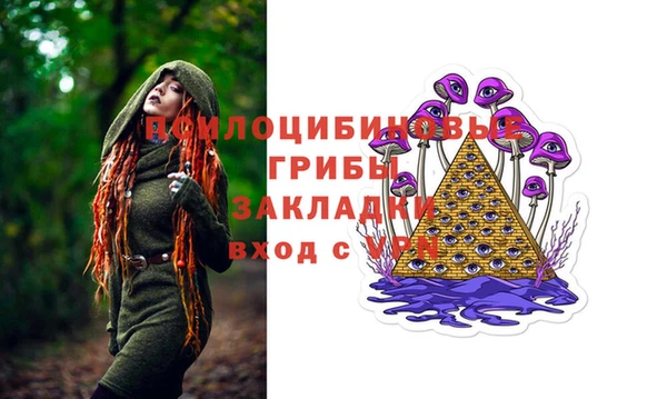 дурь Новозыбков