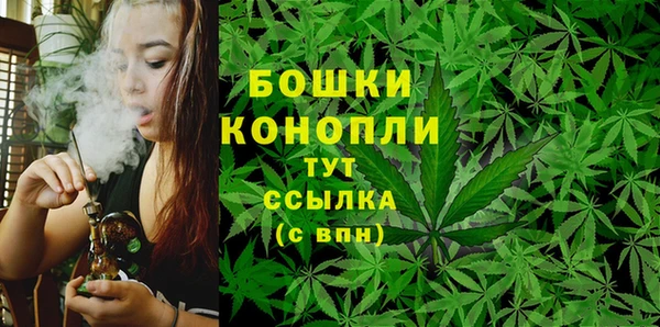 дурь Новозыбков