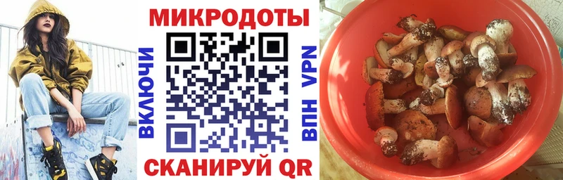сайты даркнета формула  Армянск  Псилоцибиновые грибы Psilocybe 
